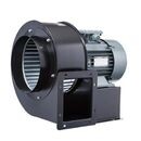 OBR SALYANGOZ FANLAR