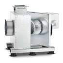 BKEF-T MUTFAK EGZOS FANI